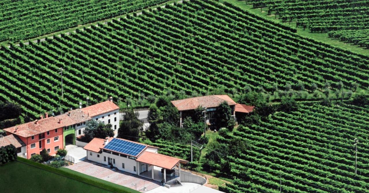 Ricca Vigna Valdobbiadene